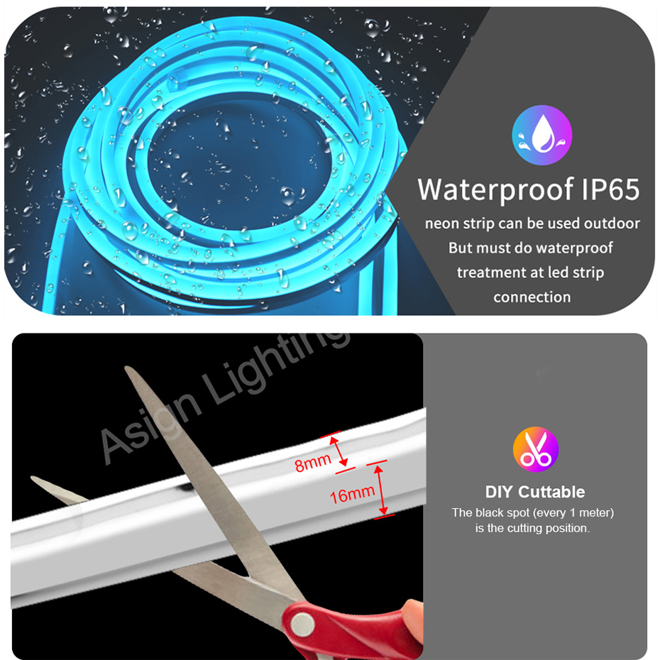 Luz de neón Led RGB inteligent - Smart Garden Uk reseña y precio
