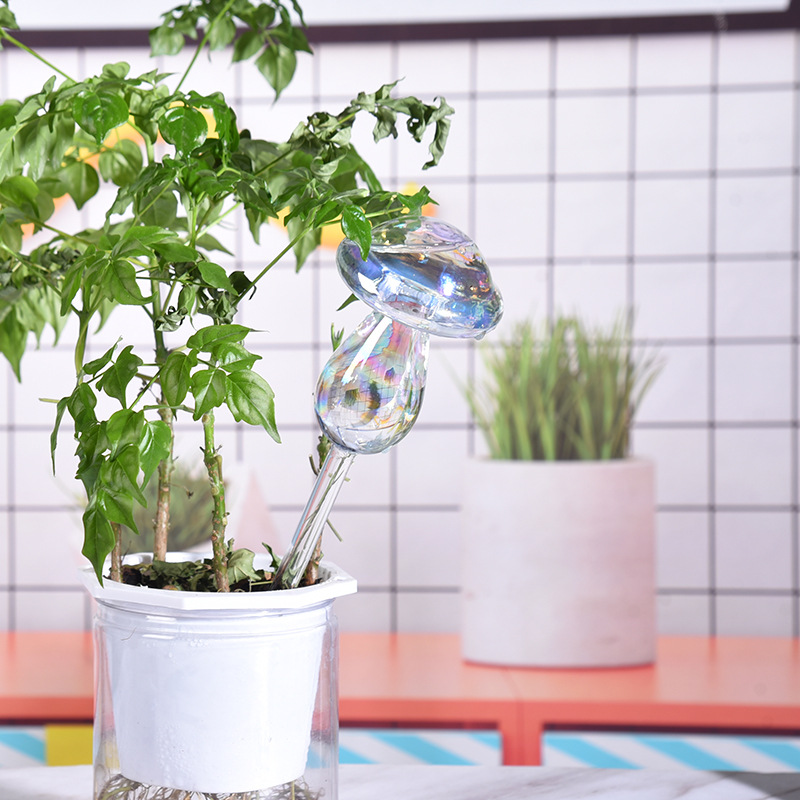 Bombillas de riego automático  - Smart Garden Herb reseña y precio